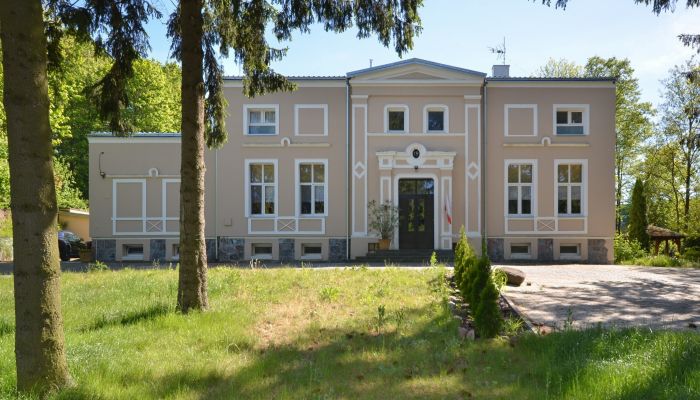 Manor House powiat ostródzki, gmina Ostróda, Grabin, Grabinek
