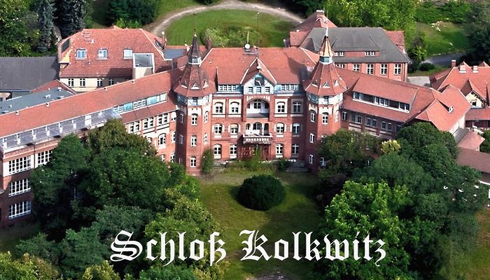 Castle Kolkwitz - Gołkojce 2
