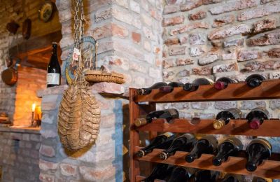 Historic Villa for sale Zibello, Emilia-Romagna, Wine cellar