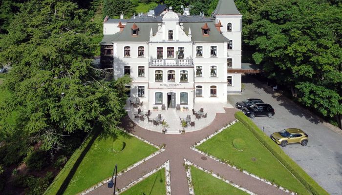Historic Villa Duszniki-Zdrój 1