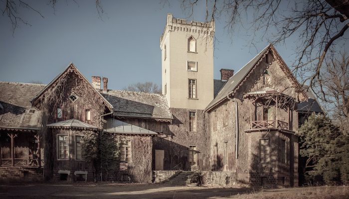 Castle Sośnie 1