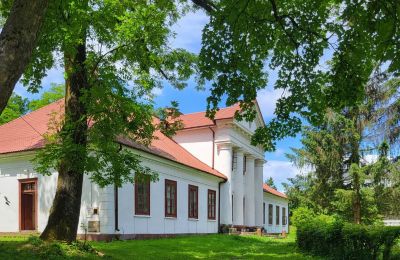 Character properties, Wonderful classical country manor in Rożnów - commission-free