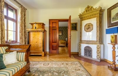 Manor House for sale Czekanowo, Greater Poland Voivodeship, Tiled Stove