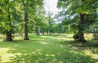 Castle for sale Dieppe, Normandy, Palace Garden