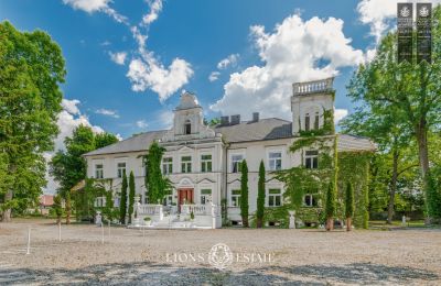 Manor House for sale Pstrokonie, Łódź Voivodeship, Image 1/50