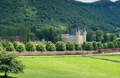 Castle for sale France, Image 4/49