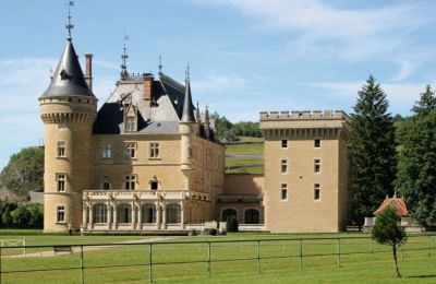 Castle for sale France, Image 38/49