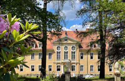 Castle for sale Saxony, Back view