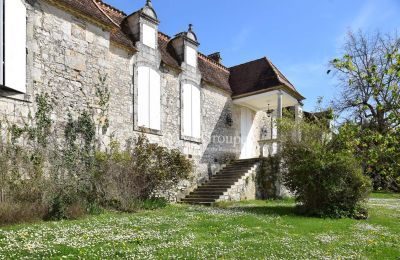 Castle for sale Monflanquin, New Aquitaine, Back view