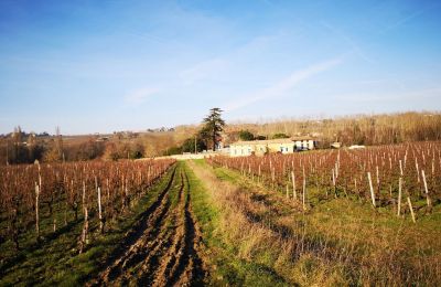 Castle for sale Blaye, New Aquitaine, Image 12/14