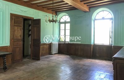 Castle for sale Pontacq, New Aquitaine, Drawing room