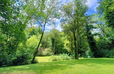 Mill for sale Pissos, New Aquitaine, Image 13/14