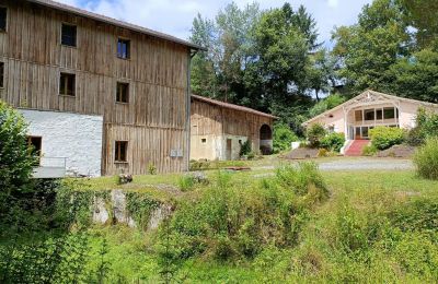 Mill for sale Pissos, New Aquitaine, Image 2/14