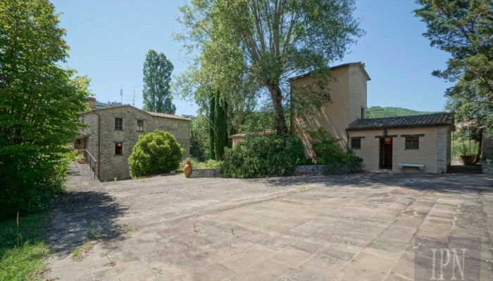 Manor House Montone 5