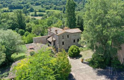 Manor House for sale 06014 Montone, Umbria, Image 35/36