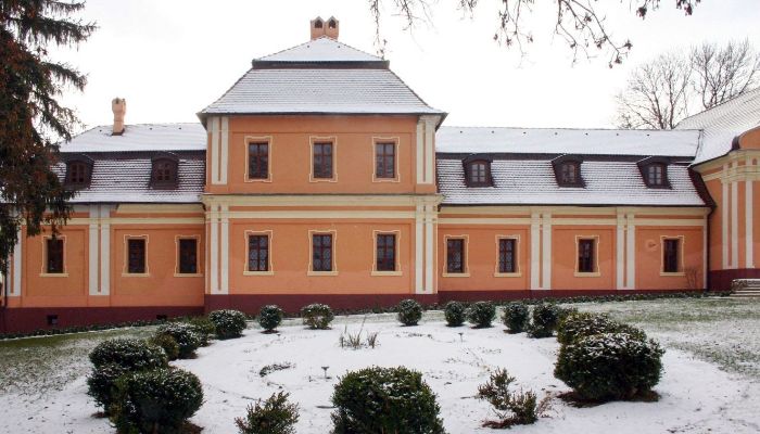 Manor House Trávnica 1