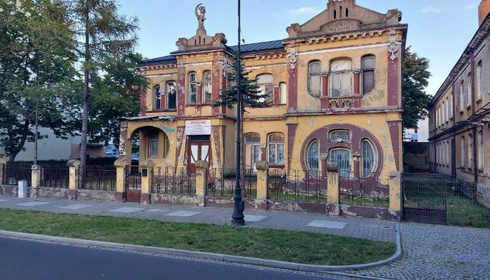 Historic Villa Piotrków Trybunalski 2