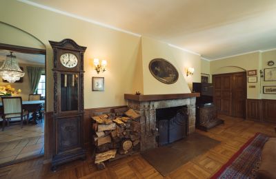 Manor House for sale Masovian Voivodeship, Fireplace