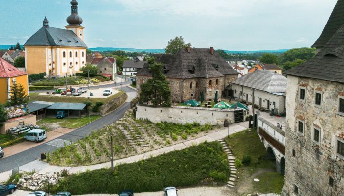 Medieval Castle Skalná 3