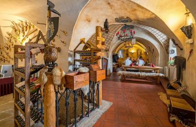 Medieval Castle for sale Karlovarský kraj, Image 11/31