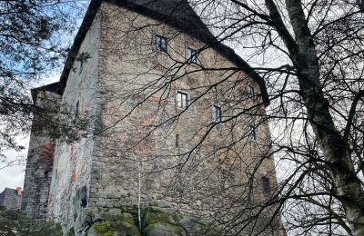 Medieval Castle for sale Karlovarský kraj, Image 28/31