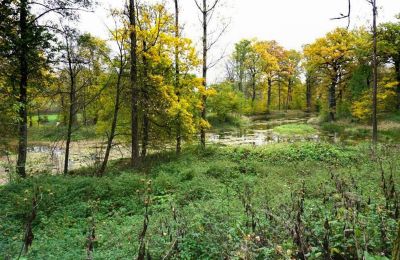 Medieval Castle for sale Zagórzany, Lesser Poland Voivodeship, Lake