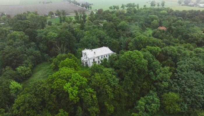 Castle Pobórz 1