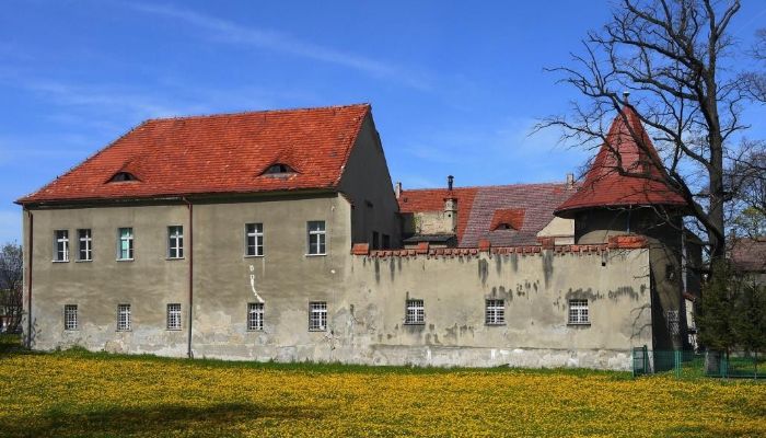 Castle for sale Bielawa, Lower Silesian Voivodeship,  Poland