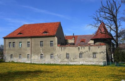 Character properties, Bielawa Palace in Lower Silesia near Wałbrzych