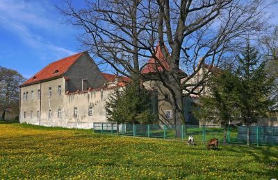 Castle for sale Bielawa, Wolności 92, Lower Silesian Voivodeship, Image 4/7