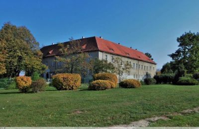 Castle for sale Bielawa, Wolności 92, Lower Silesian Voivodeship, Image 7/7