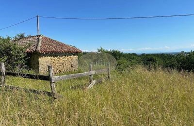 Historic property for sale Mirande, Occitania, Image 27/45