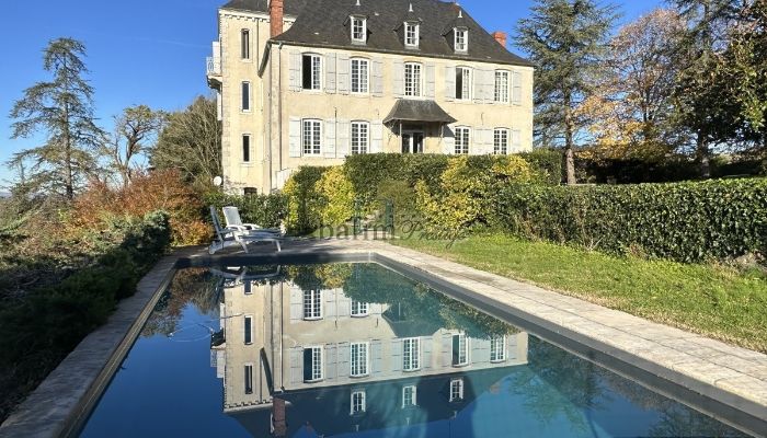 Manor House for sale Pau, New Aquitaine,  France