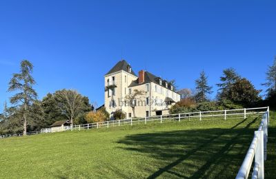 Manor House for sale Pau, New Aquitaine, Image 2/23