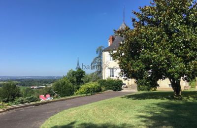 Manor House for sale Pau, New Aquitaine, Image 15/19