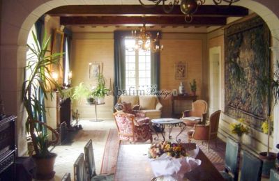 Castle for sale Pau, New Aquitaine, Image 4/20