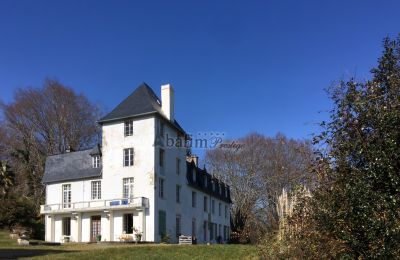 Character properties, Château at the gates of Pau - 12 ha, low property tax