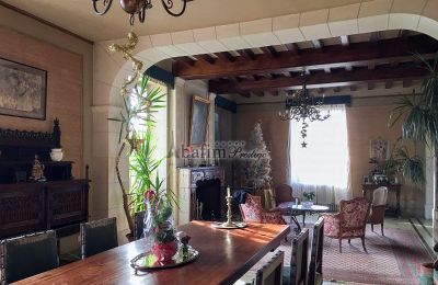 Castle for sale Pau, New Aquitaine, Living Area