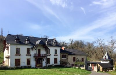 Manor House for sale Pau, New Aquitaine, Exterior View