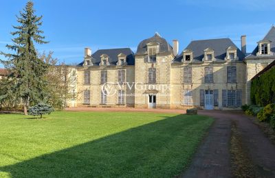 Character properties, Splendind castle for investment in the west of France