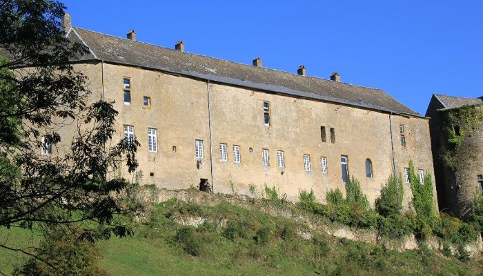 Castle Roussy-le-Bourg 4