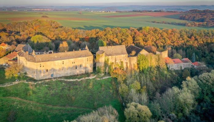 Castle for sale Roussy-le-Bourg, Grand-Est,  France