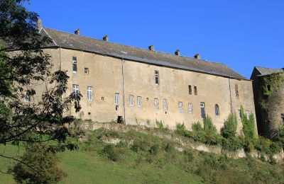 Castle for sale Roussy-le-Bourg, Grand-Est, Back view