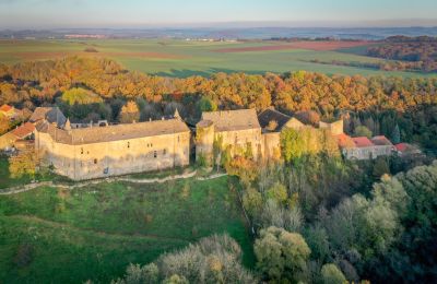 Castle for sale Roussy-le-Bourg, Grand-Est, Property location