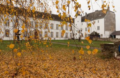 Castle for sale Roussy-le-Bourg, Grand-Est, Exterior View