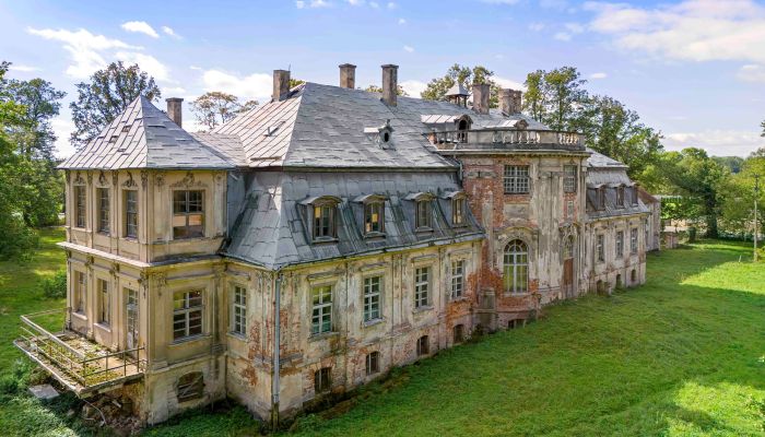 Castle for sale Minkowskie, Opole Voivodeship,  Poland