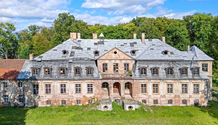 Castle for sale Minkowskie, Opole Voivodeship,  Poland, 2