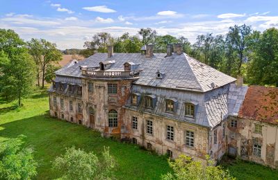 Castle Minkowskie, Opole Voivodeship