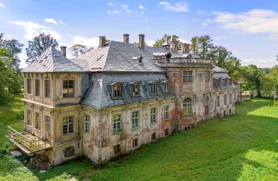 Castle for sale Minkowskie, Minkowskie  69, Opole Voivodeship, Image 10/43