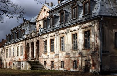 Castle for sale Minkowskie, Minkowskie  69, Opole Voivodeship, Image 3/43